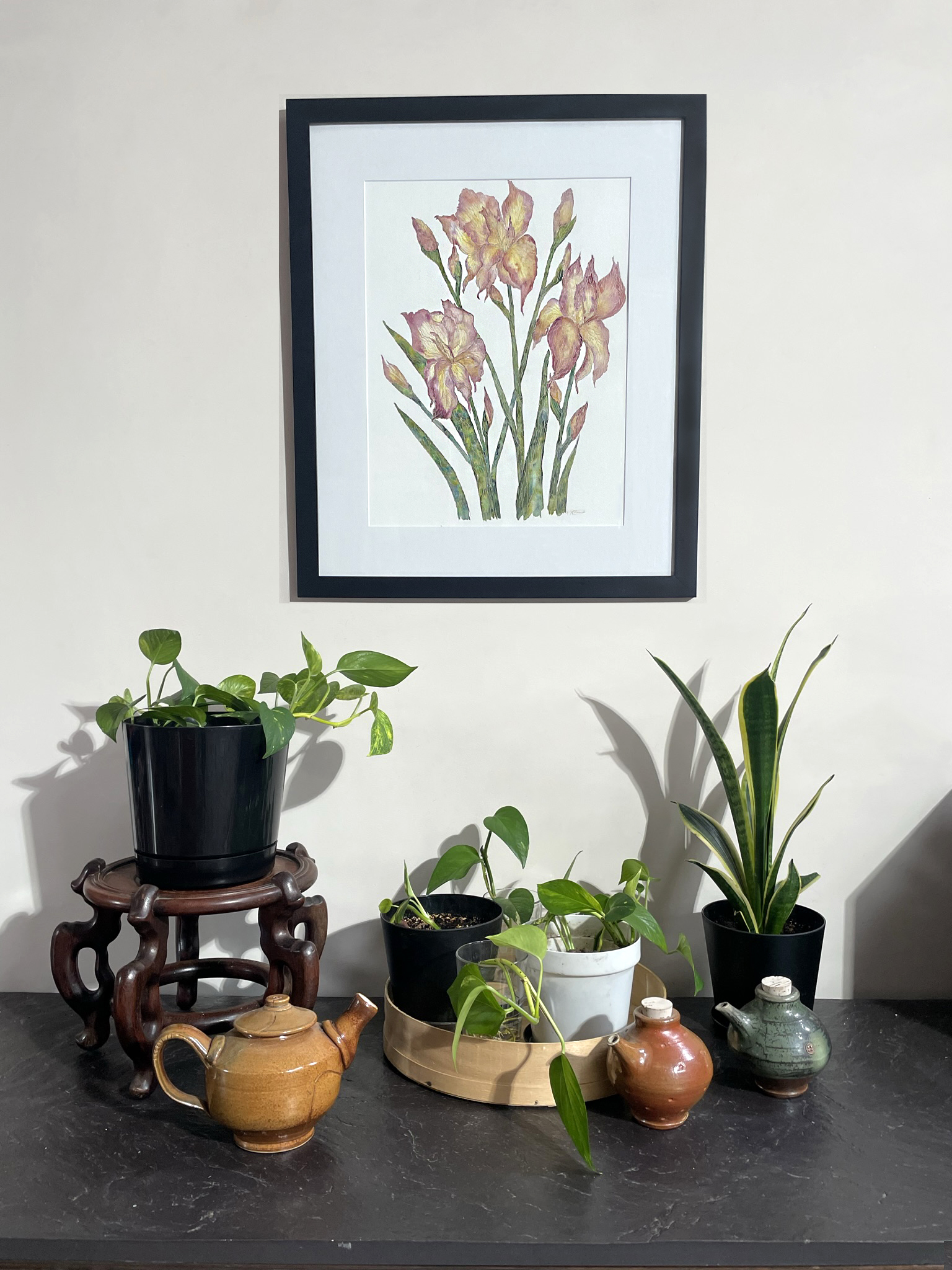 Garden Irises